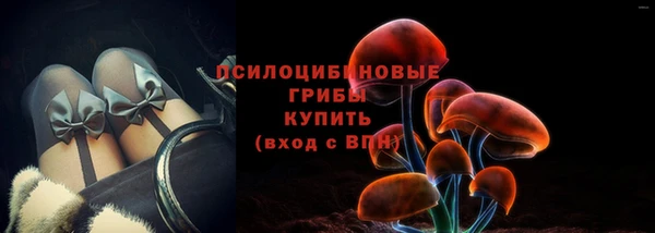 прущий лед Алексин