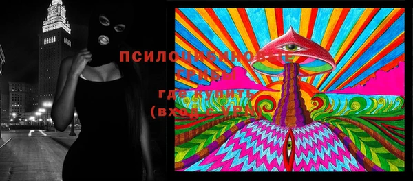 PSILOCYBIN Абинск