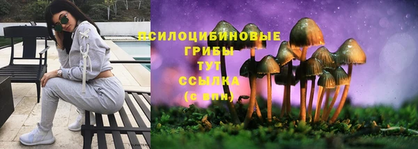 PSILOCYBIN Абинск
