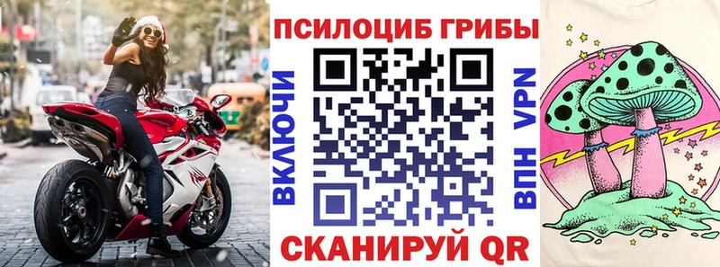 где продают Мыски Псилоцибиновые грибы ЛСД