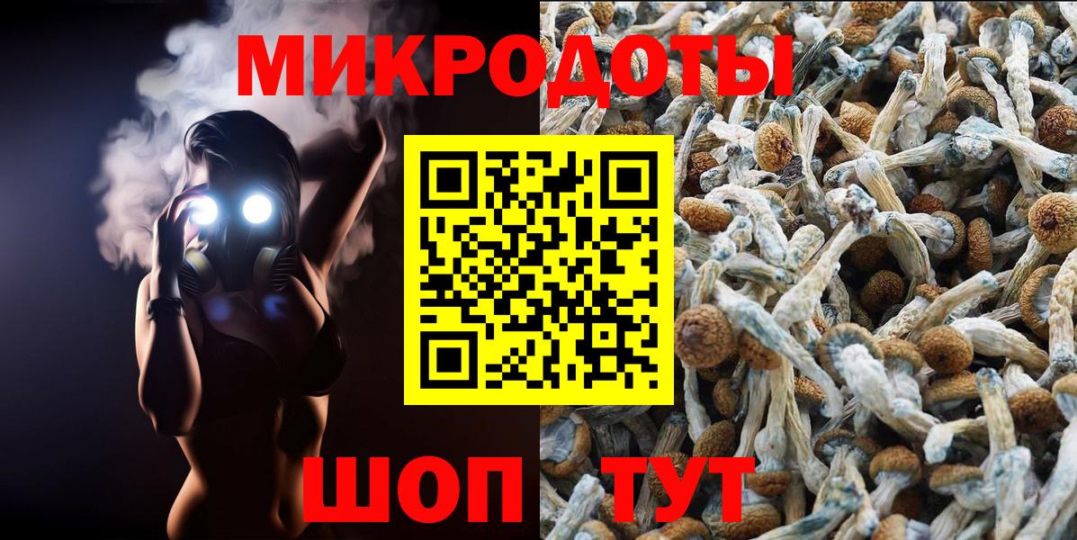 Мыски  Псилоцибиновые грибы Psilocybe  Вход с VPN 